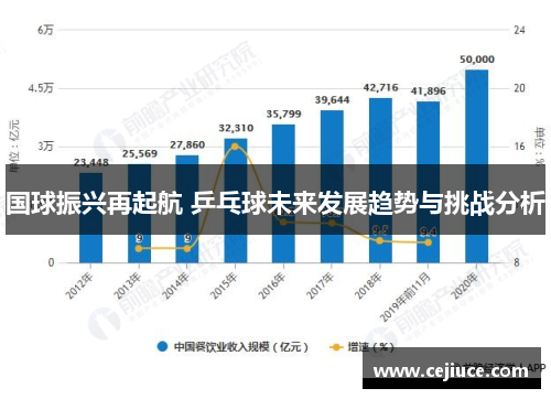 国球振兴再起航 乒乓球未来发展趋势与挑战分析