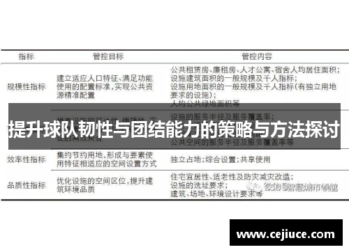 提升球队韧性与团结能力的策略与方法探讨