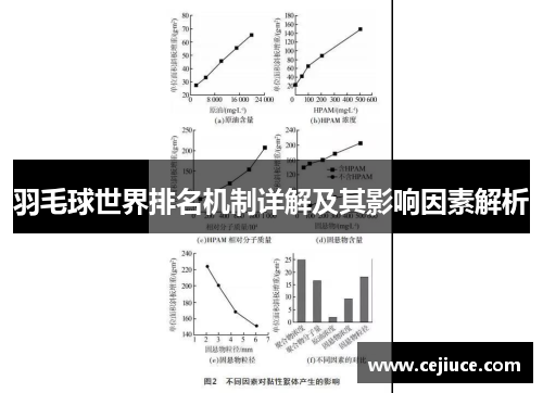 羽毛球世界排名机制详解及其影响因素解析